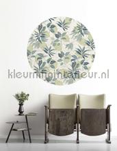 Behangcirkel leni decorative selbstkleber Komar alle bilder 