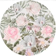 Behangcirkel daphne wallstickers Komar vindue stickers 