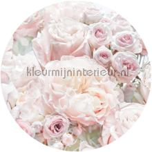 Behangcirkel pink and cream roses wallstickers Komar vindue stickers 