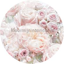 Behangcirkel pink and cream roses fotomurali Komar Sun Mare Spiaggia 