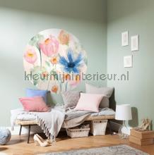 Behangcirkel may wallstickers Komar alle billeder 