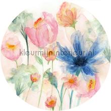 Behangcirkel may wallstickers Komar vindue stickers 