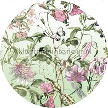 Behangcirkel louloudi wallstickers Komar vindue stickers 