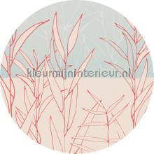 Behangcirkel grassland wallstickers Komar vindue stickers 