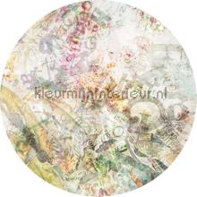 Behangcirkel round stories wallstickers Komar alle billeder 