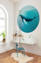 Behangcirkel whale watching interieurstickers Komar onderwaterwereld 