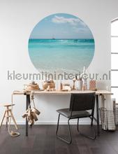 Behangcirkel lagoon wallstickers Komar vindue stickers 