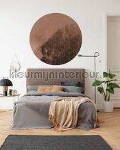 Behangcirkel new morning interieurstickers Komar abstract modern 