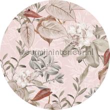 Behangcirkel adorn wallstickers Komar vindue stickers 
