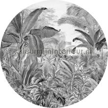 Behangcirkel wild woods wallstickers Komar vindue stickers 