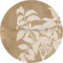 Behangcirkel blooming branch wallstickers Komar vindue stickers 