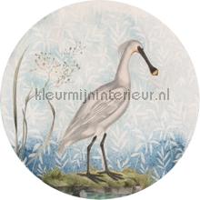 Behangcirkel spoonbill wallstickers Komar vindue stickers 