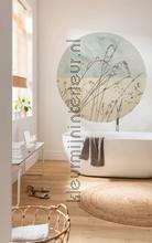 Behangcirkel gazon wallstickers Komar vindue stickers 
