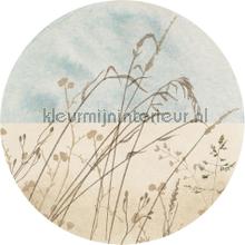 Behangcirkel gazon wallstickers Komar vindue stickers 