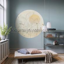 Behangcirkel roseau interieurstickers Komar abstract modern 