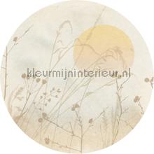 Behangcirkel roseau wallstickers Komar vindue stickers 