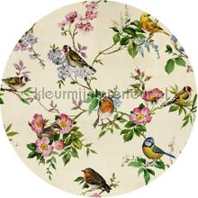 Behangcirkel bird party wallstickers Komar vindue stickers 