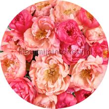 Behangcirkel roseraie wallstickers Komar vindue stickers 
