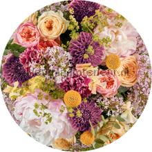 Behangcirkel frescas wallstickers Komar vindue stickers 