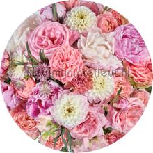 Behangcirkel beautiful blossoms wallstickers Komar vindue stickers 