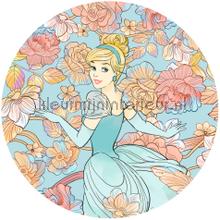 Behangcirkel disney princess - cinderella pastel fototapet Komar teenagere 