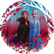 Behangcirkel disney - frozen - winter is coming adesivi murali Komar sport 