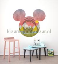 Behangcirkel disney - mickey mouse - head summer h intrieurstikkers Komar tiener 