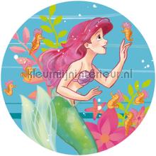 Behangcirkel disney princess - ariel - seahorses decoration stickers Komar teenager 