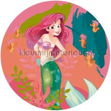 Behangcirkel disney princess - ariel - happy coral adesivi murali Komar ragazzo 