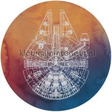 Behangcirkel star wars - millennium falcon decoration stickers Komar all images 