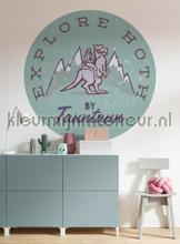 Behangcirkel star wars - explore hoth decoration stickers Komar all images 