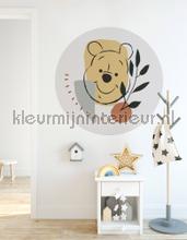 Behangcirkel disney - winnie the pooh - smile decoration stickers Komar all images 