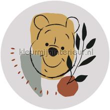 Behangcirkel disney - winnie the pooh - smile adesivi murali Komar sport 