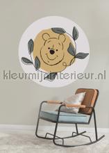 Behangcirkel disney - winnie the pooh - garland decorative selbstkleber Komar unterwasserwelt 