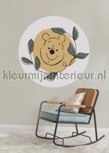 Behangcirkel disney - winnie the pooh - garland autocolantes decoracao Komar Bebs Crianas 