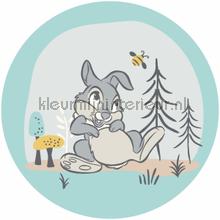 Behangcirkel disney - bambi - thumper fotobehang Komar Baby Peuter 