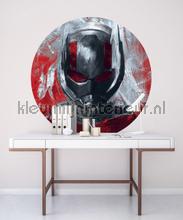 Behangcirkel marvel - avengers - painting ant-man adesivi murali Komar sport 