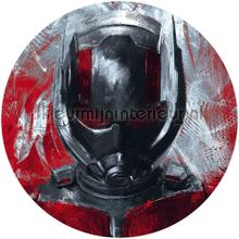 Behangcirkel marvel - avengers - painting ant-man stickers mureaux Komar Voitures Transport 