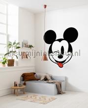 Behangcirkel disney - mickey mouse - head optimism stickers mureaux Komar Voitures Transport 