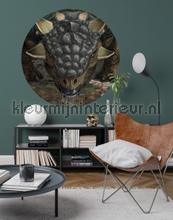 Behangcirkel national geographic - tarchia wallstickers Komar vindue stickers 