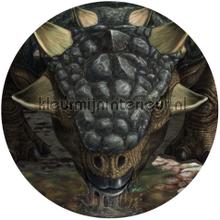 Behangcirkel national geographic - tarchia wallstickers Komar vindue stickers 