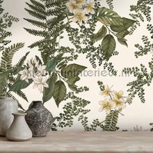 Livingwalls Drawn Into Nature papel pintado
