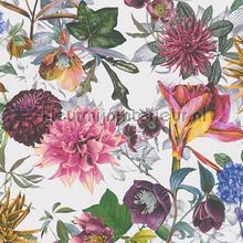 Droom boeket papier peint AS Creation Dream Flowery 381754