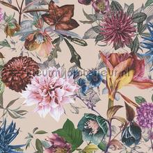118022 papier peint AS Creation Dream Flowery 381755