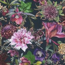 Droom boeket papier peint AS Creation Dream Flowery 381756