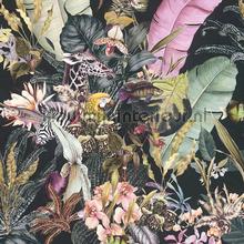 Botanische droom papier peint AS Creation Dream Flowery 381761