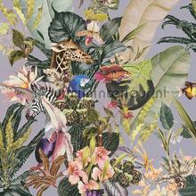 Botanische droom papier peint AS Creation Dream Flowery 381762