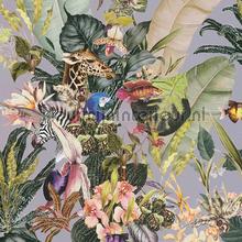 Botanische droom wallcovering 381762 Exotic AS Creation