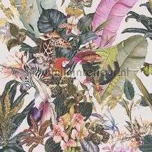 Botanische droom papier peint AS Creation Dream Flowery 381763