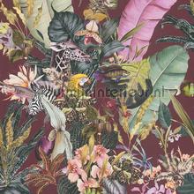 Botanische droom behang 381765 Exotisch AS Creation